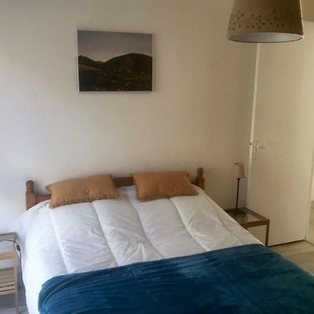 Le Courancon Apartment Сен-Нектер Екстериор снимка